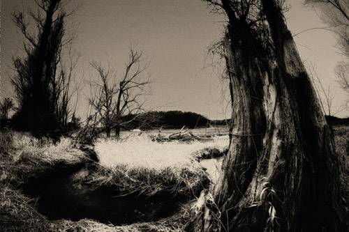 fotoserie böhmische wälder