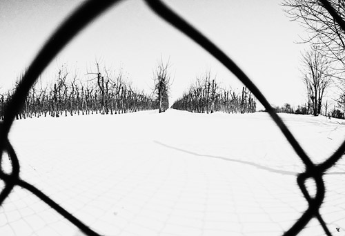 fotoserie streifschüsse