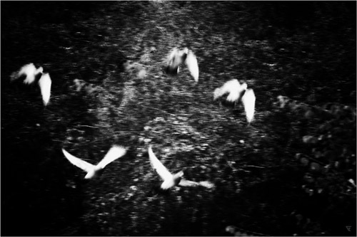 fotoserie streifschüsse