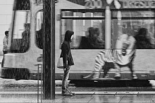 gruenberg foto street